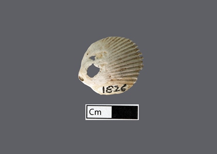 4460