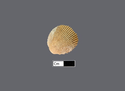 4470