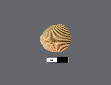 4471