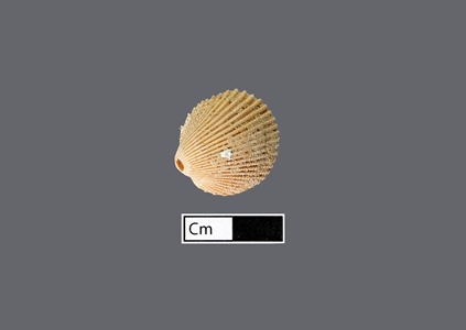 4472