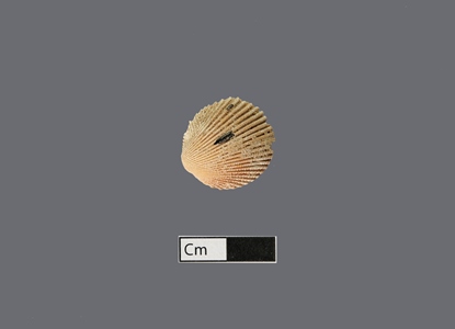 4474