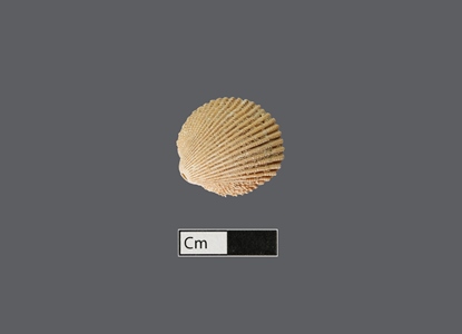 4475