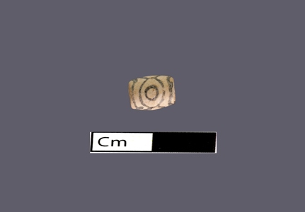 4569